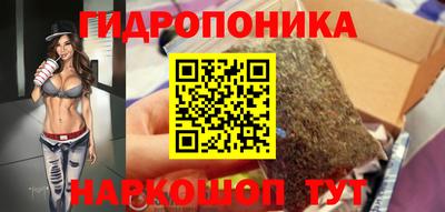 кокс Обь