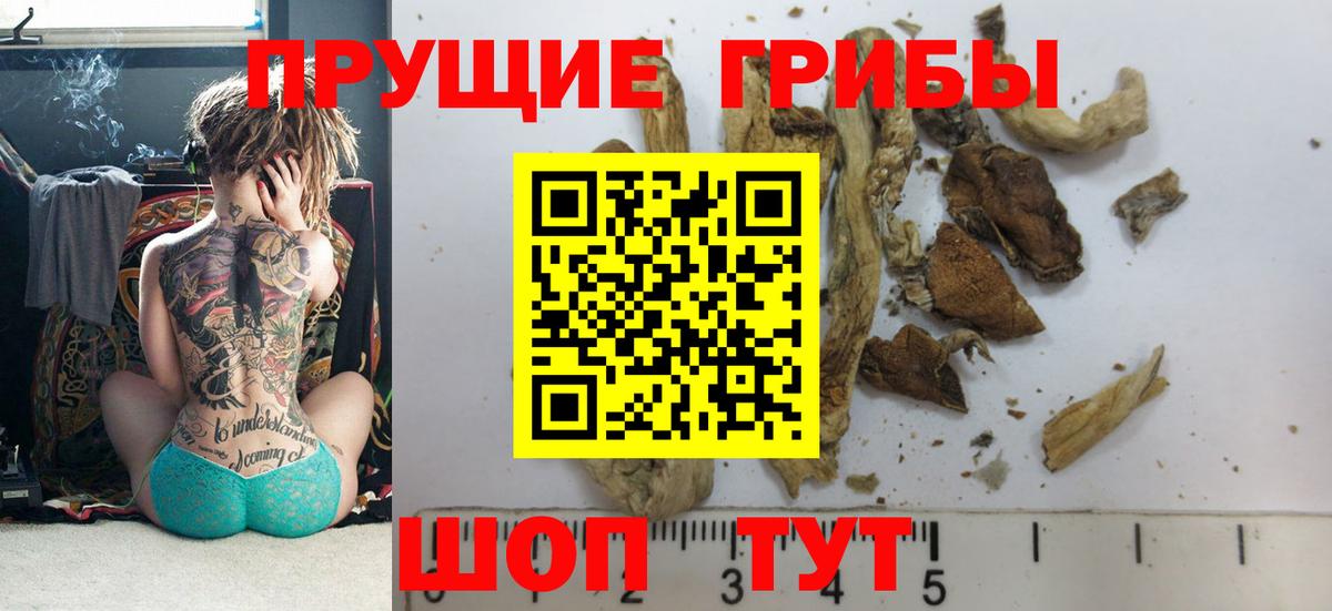 Галлюциногенные грибы Cubensis  Вход с VPN  Феодосия 